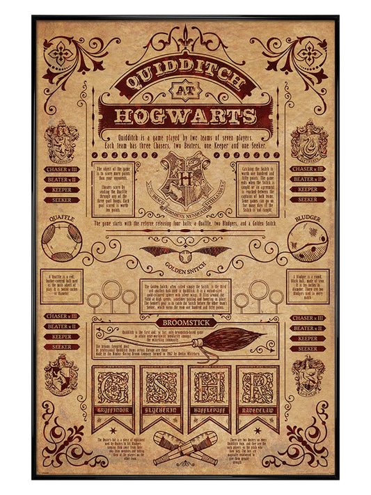 Harry Potter Quidditch At Hogwarts Maxi Poster