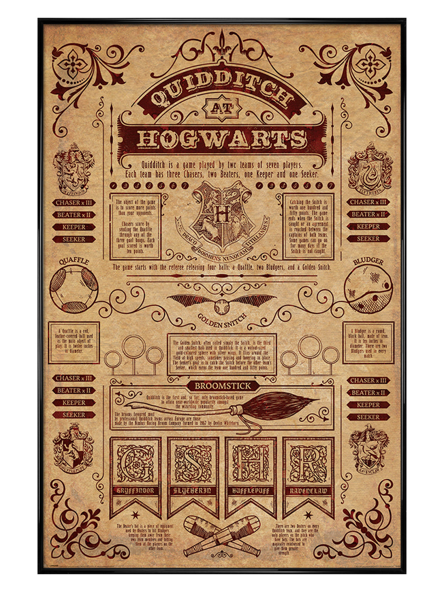 Harry Potter Quidditch At Hogwarts Maxi Poster