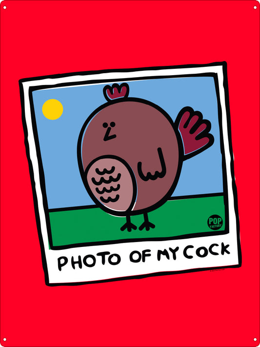 Pop Factory Photo Of My Cock Tin Sign