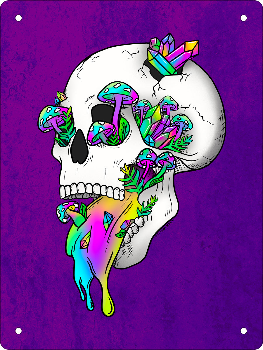 Psychedelic Rainbow Skull Mini Tin Sign