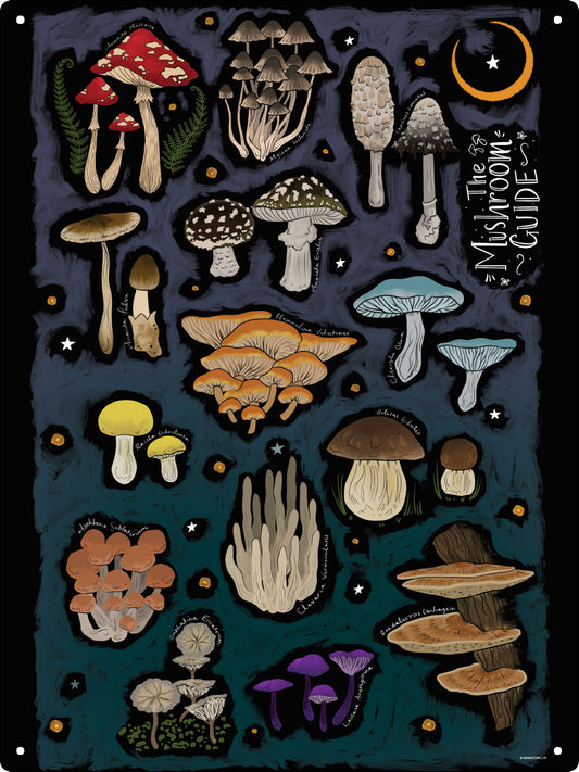 Mushroom Guide Large Tin Sign
