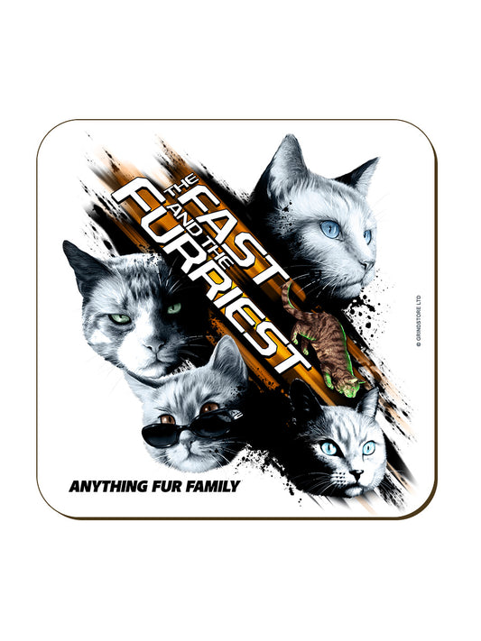 Horror Cats The Fast & The Furriest Coaster