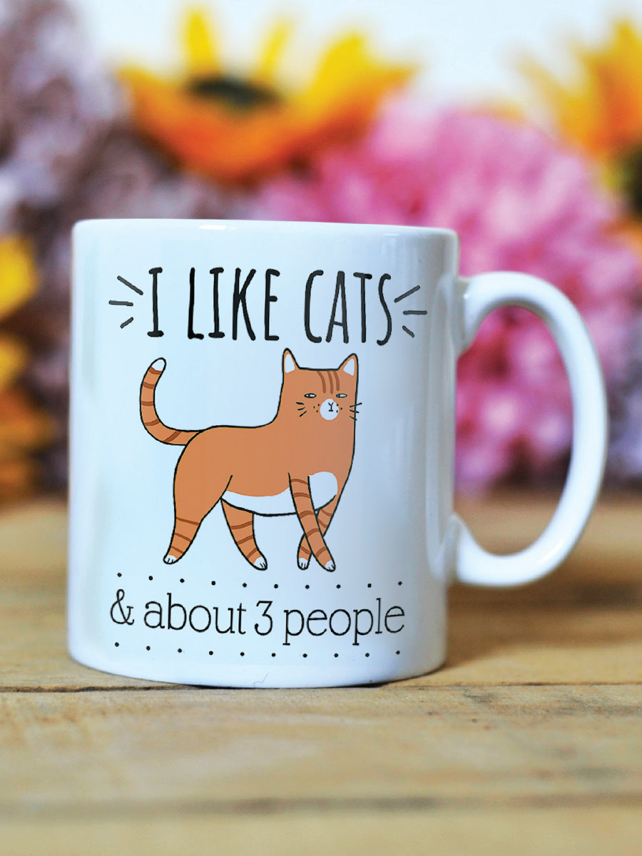 I Like Cats & About 3 People Mug