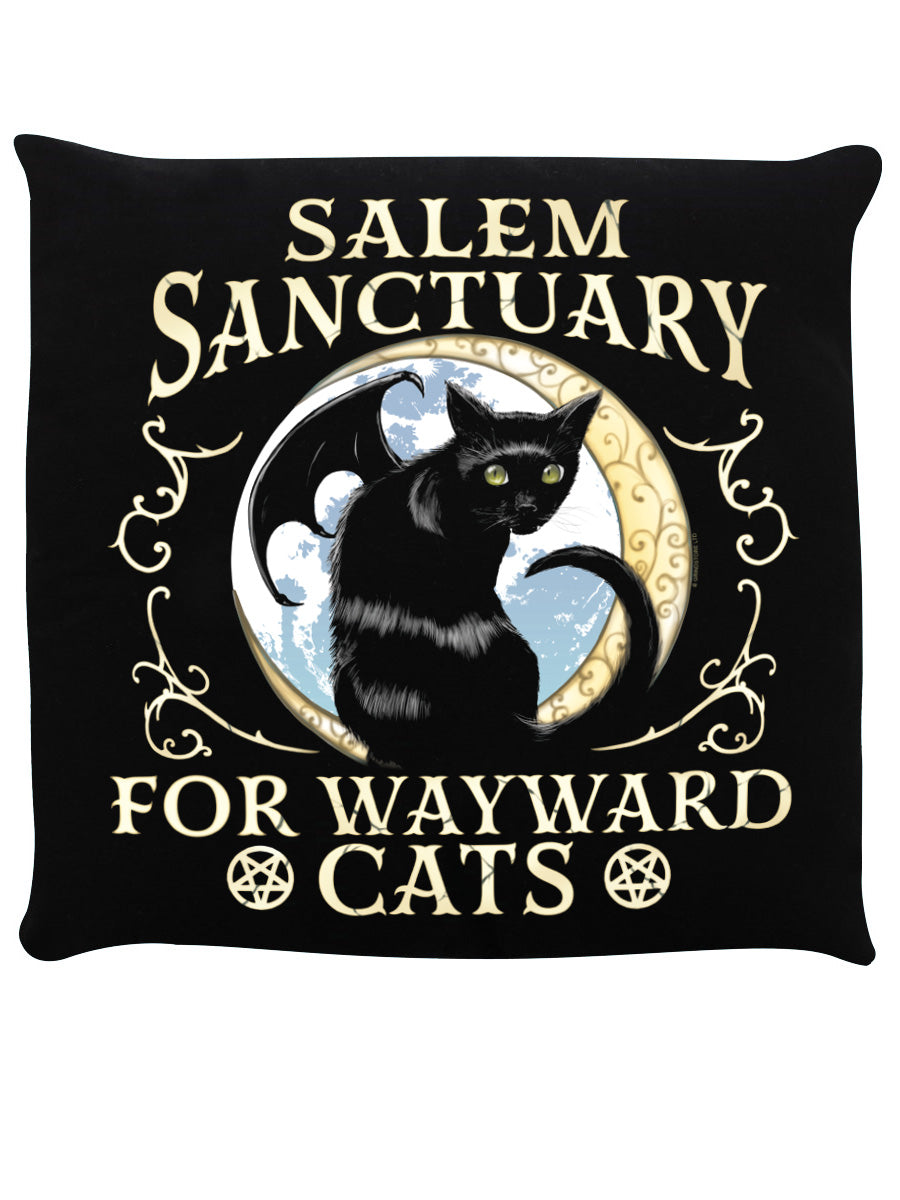 Salem Sanctuary For Wayward Cats Black Cushion