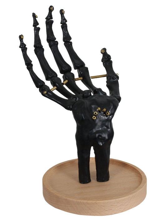 Black Skeleton Hand Jewellery Tidy